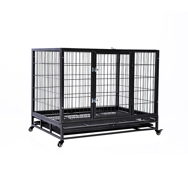 Dog Kennel, Dog Kennel