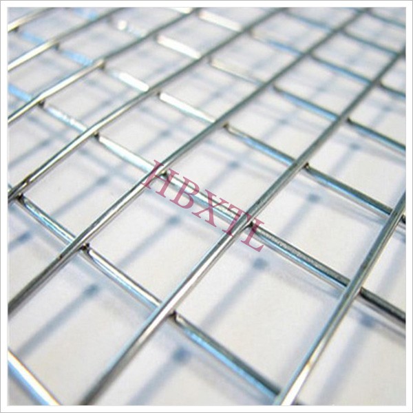 Electro galvanized welded wire mesh